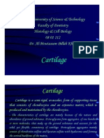 9. Cartilage
