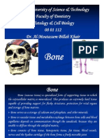 B B Bone Bone