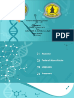 Perianal Abcess and Fistula Disease