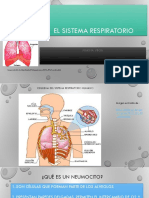 Descrikcion de Los Neumocitos