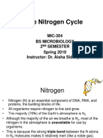 Nitrogen Cycle Explained in Microbiology Class