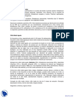 Infecciones Respiratorias Altas Apuntes Infectologia PDF