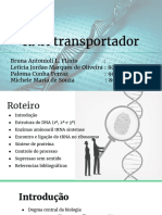 RNA transportador: estrutura e função