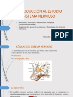 Introducción Al Estudio Del Sistema Nervioso