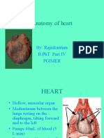 Anatomy of Heart: By: Rajnikantam B.PHT Part:Iv Pgimer