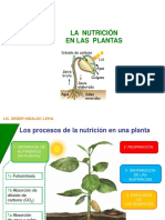 Nutricion en Las Plantas-Beder