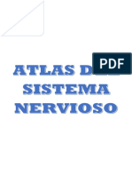 ATLAS Anatomía Del Sistema Nervioso