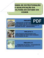 programa_estruturacao_qualificacao_apicultura.pdf