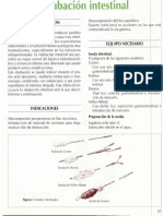 Sondaje Intestinal PDF