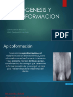 Apicoformacion