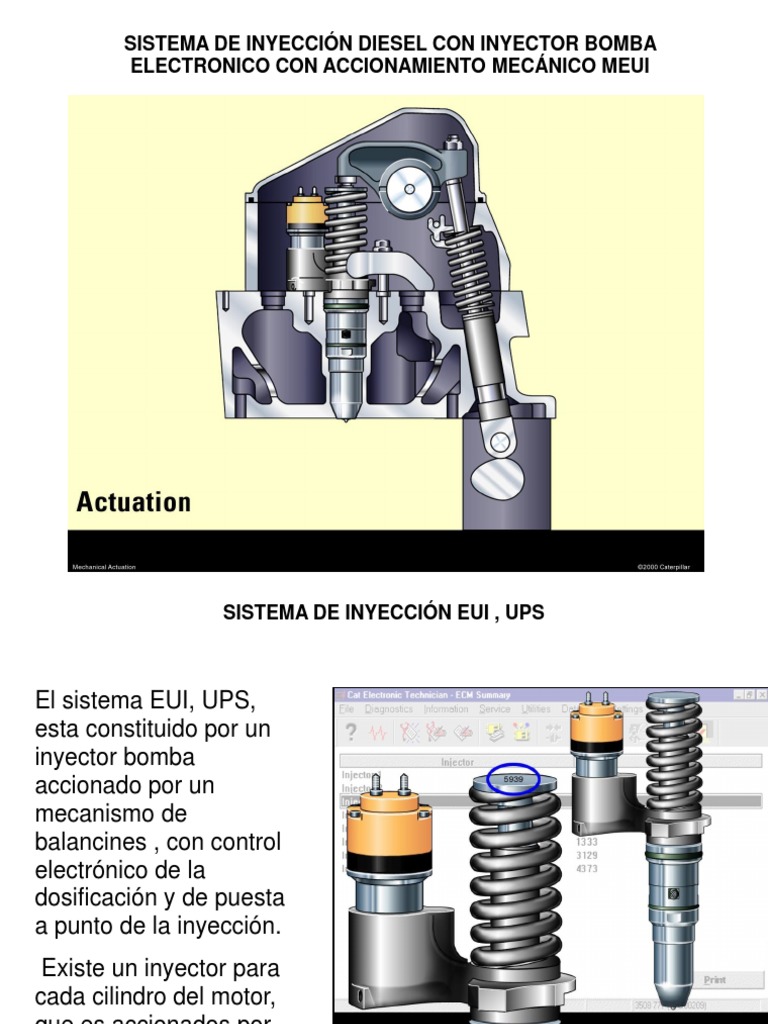 Meui | PDF