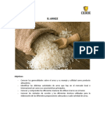 El ARROZ (1).pdf