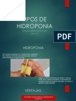 Tipos de Hidroponia