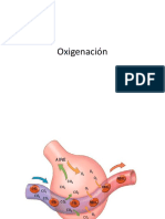 3 Oxigenacion, Desequilibrio, VNI, ARM