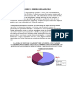 Informações Sobre o Eleitor Brasileiro