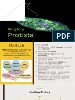Protista PDF