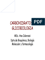 Carbohidratos y Glicobiologia PDF