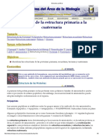 Estructura Protéica