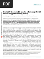 Inverted-U Dopamine D1 Receptor Actions On Prefrontal Neurons Engaged in Working Memory - Vijayraghavan - 2007