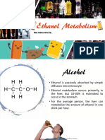 Alcohol Metabolism Report