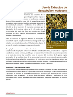 349026462-60-Uso-Extractos-de-Ascophyllum-Nodosum-1.pdf