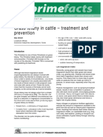 Grass Tetany in Cattle Treatment and Prevention