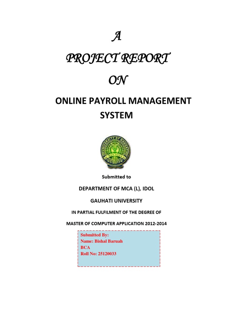 Analysis of an Online Payroll Management System Project Report | PDF ...