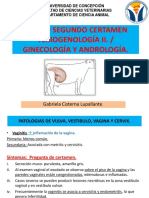 Patologías vulvo-vaginales y tratamientos