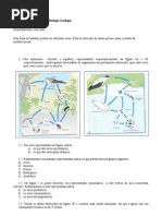 fichadiag10