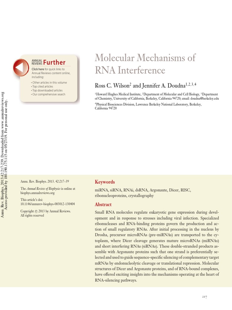 Molecular Mechanism of RNAi | PDF | Rna Interference | Small ...
