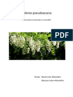 Robinia Pseudoacacia - Proiect Plante Ornamentale Si Comestibile