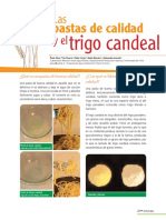 Calidad de La Pasta PDF