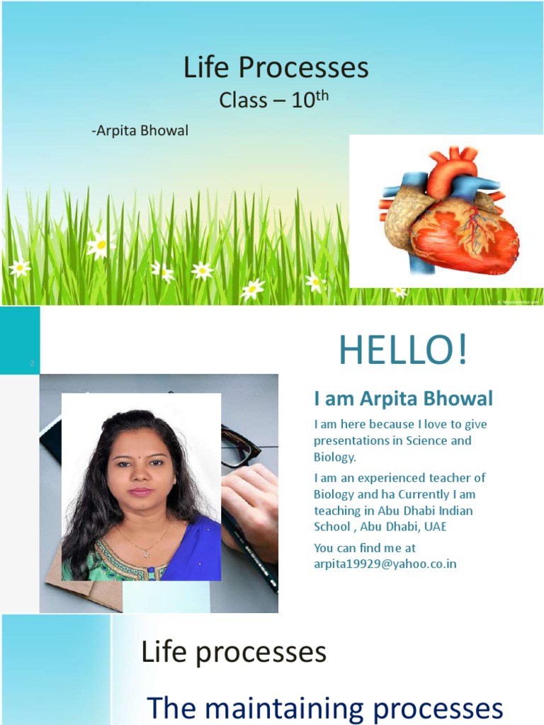 Life Processes: Class - 10 | PDF | Atrium (Heart) | Cellular Respiration