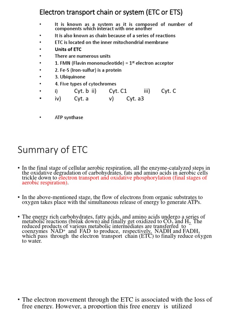 Electron Transport Chain | PDF | Electron Transport Chain | Cellular ...