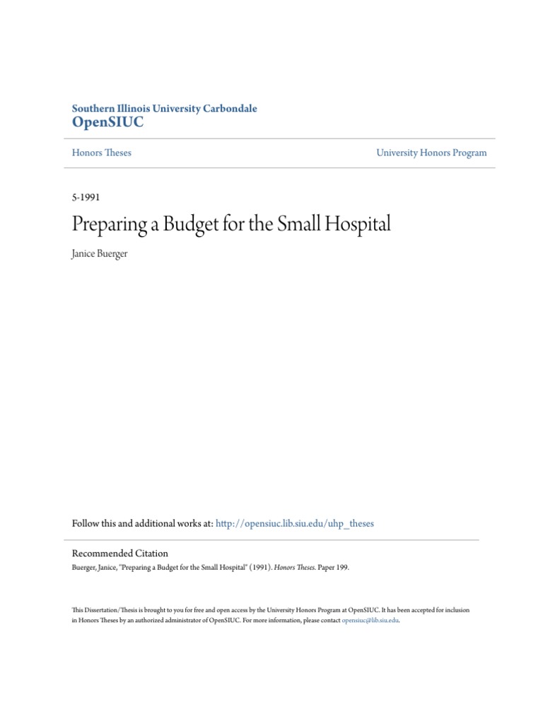 Small Hospital Budget Preparation Guide | PDF | Balance Sheet | Net Income