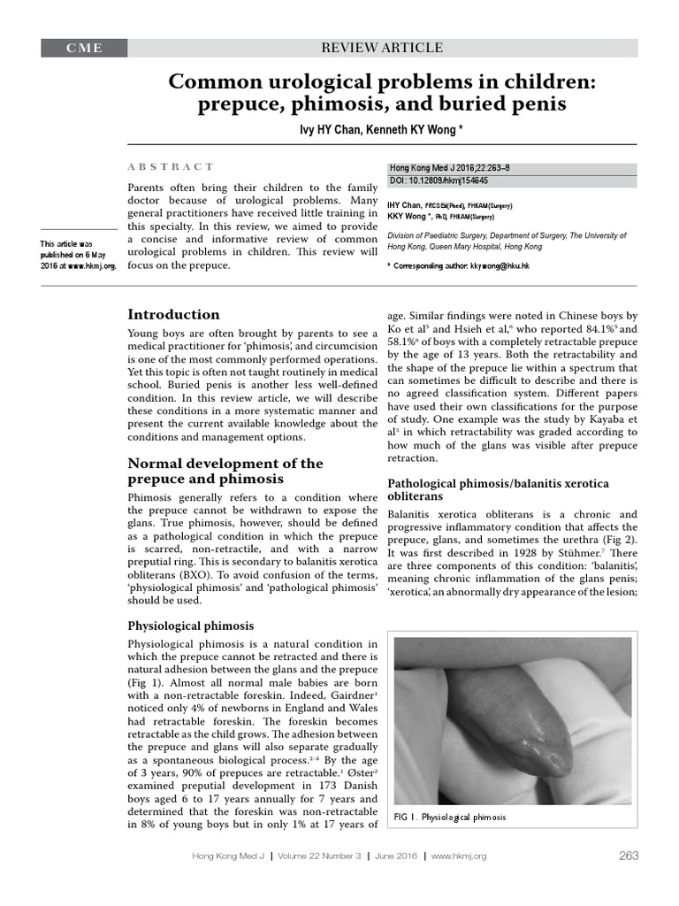 PDF] Pathologic and physiologic phimosis: approach to the phimotic  foreskin.