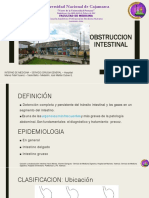 Expo Obstruccion Intestinal