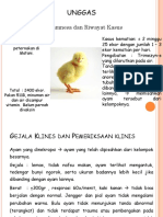 Patologi Veteriner - PPT