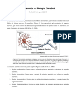 Conhecendo a estrutura e função neuronal