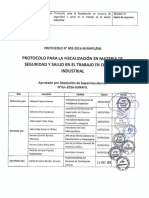 R.S NÂº 064 Protocolo N 002 2016 SUNAFIL Protocolo Para La Fiscalizacion En Materia De Seguridad Y Salud En El Trabajo Sector Industrial.pdf