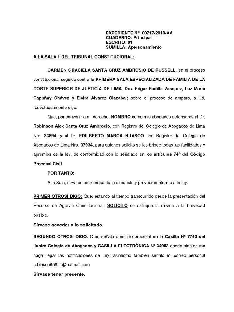 Apersonamiento Al Tribunal Constitucional | PDF