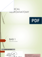 cliniacal neuroanatomy