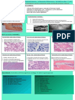 aeloblastoma34.docx