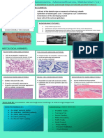 aeloblastoma34.docx