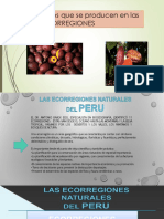 11 ecorregiones Perú: Alimentos nativos selva, mar, sierra, desierto