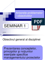 Seminar ARBORELE PROBLEMELOR SI OBIECTIVELOR