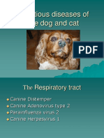 Infectious Diseases of The Dog and Cat