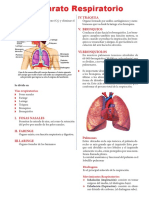 Aparato Respiratorio para Cuarto de Primaria