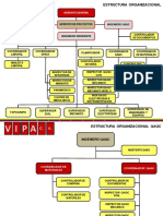 Vipa Mapa de Proceso y Organicramas