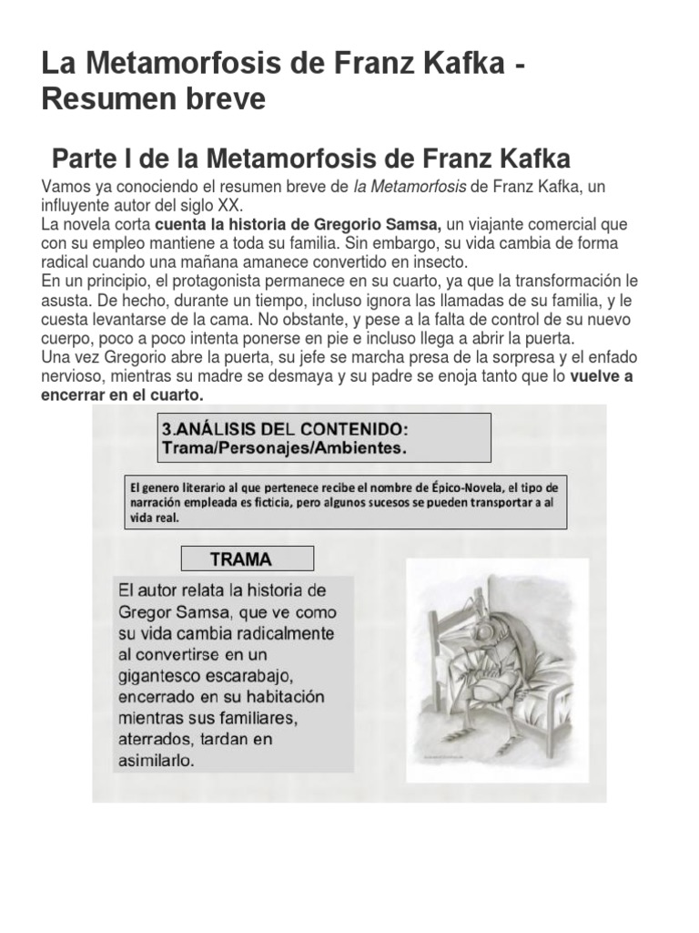 RESUMEN La Metamorfosis de Franz - 1670881882